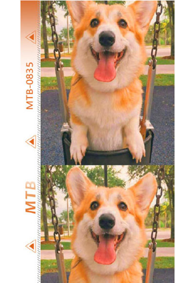 MTB-B0835