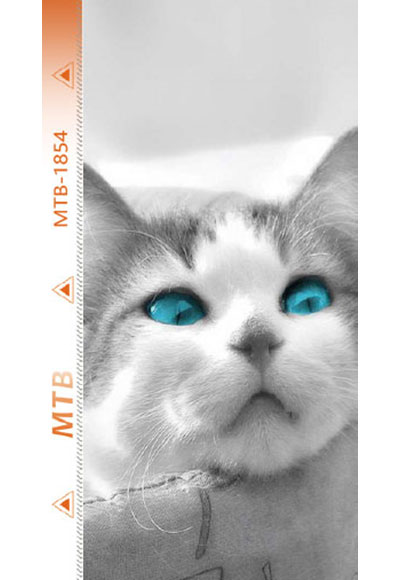 MTB-B1854