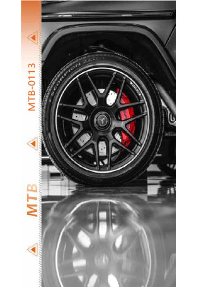 MTB-F0113