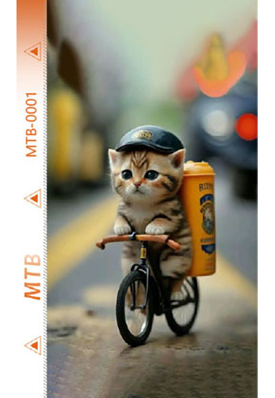 MTB-B0001