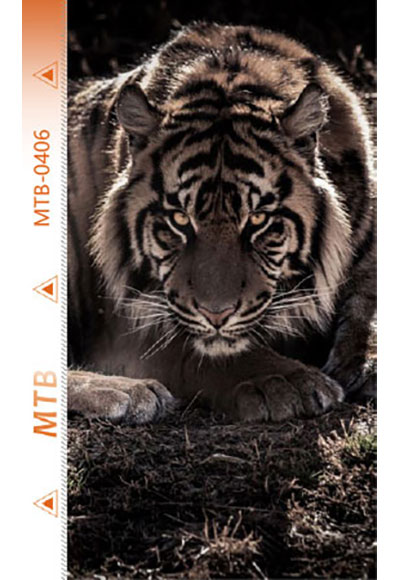 MTB-B0406